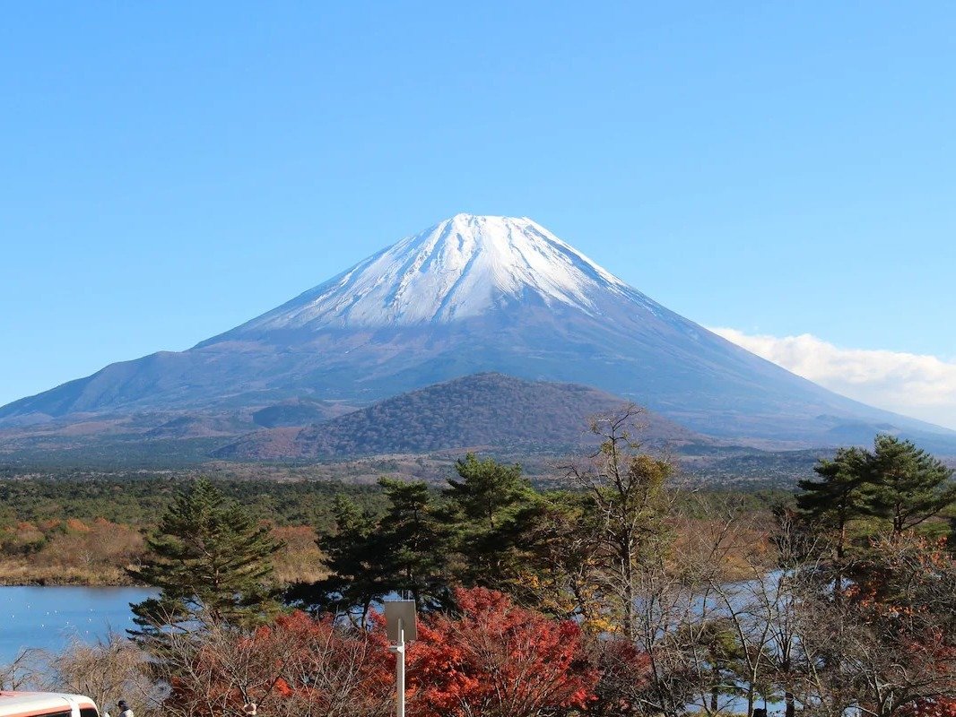 �x�m�R�𐳖ʂɖ]�ސ�D�̃��P�[�V����