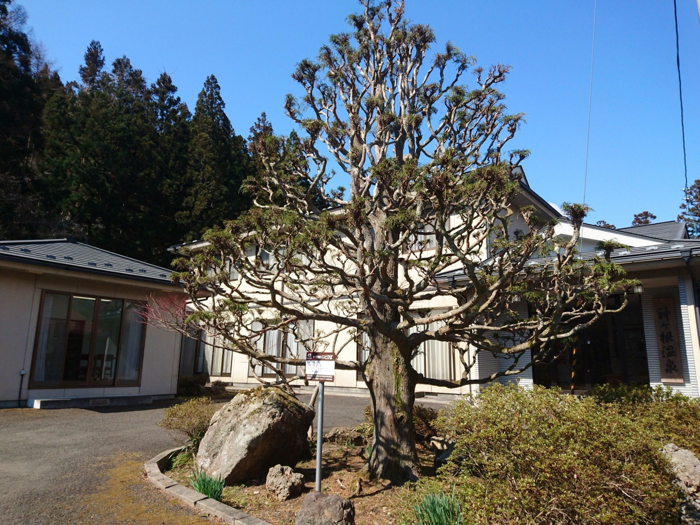 �_��������O��