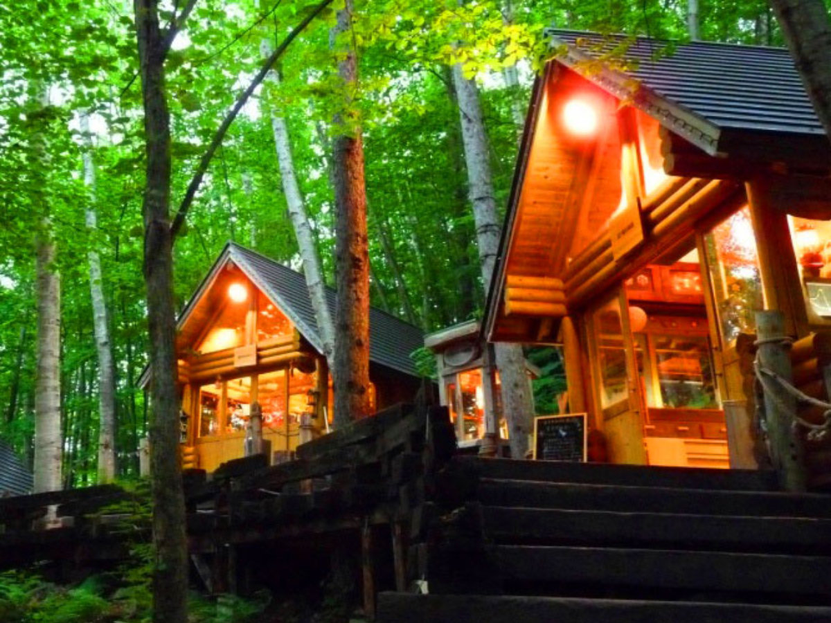 �j���O���e���X�@�X�̒��Ƀ��O�n�E�X���A�Ȃ郍�}���`�b�N�E�V���b�s���O�G���A�B