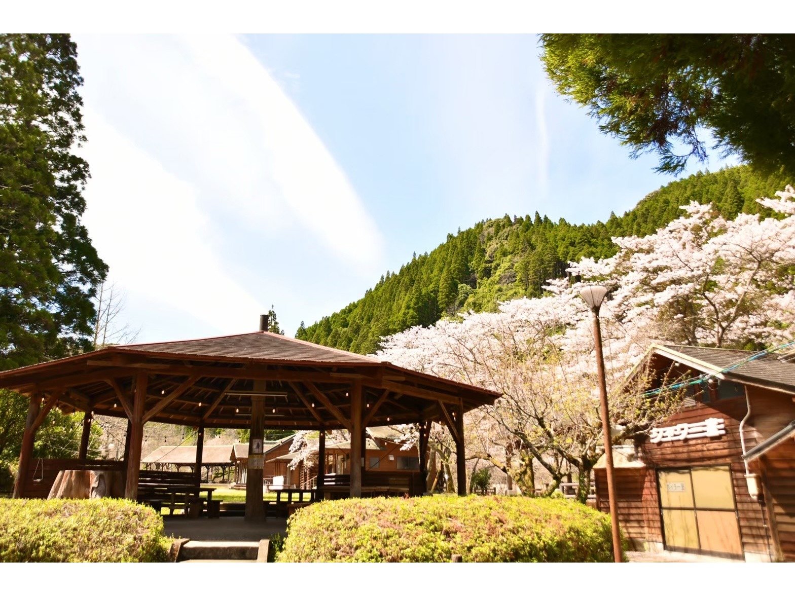 ���ƘZ�p��