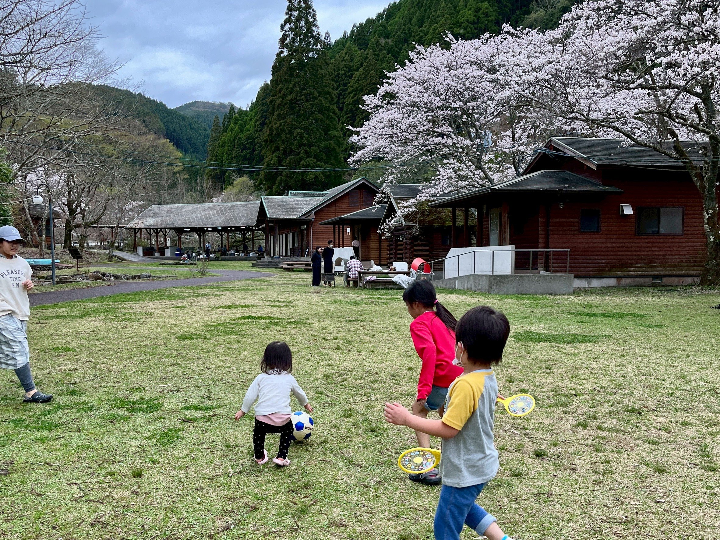 ���V�[�Y���̏��