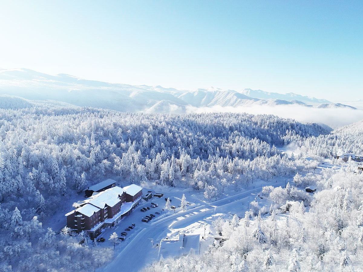 ʂ̋␢EBYȈxɈ͂܂ꂽxAe