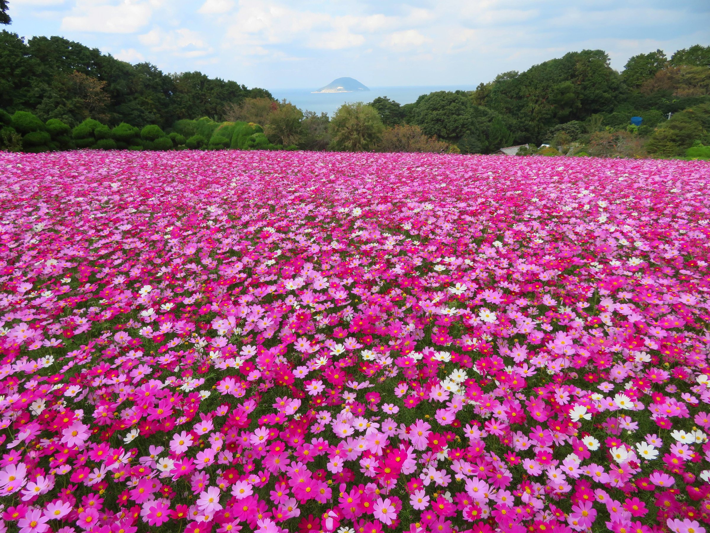 �x�炫�R�X���X�@�P�O�����{�`�P�P�����{�@�R�O���{�@