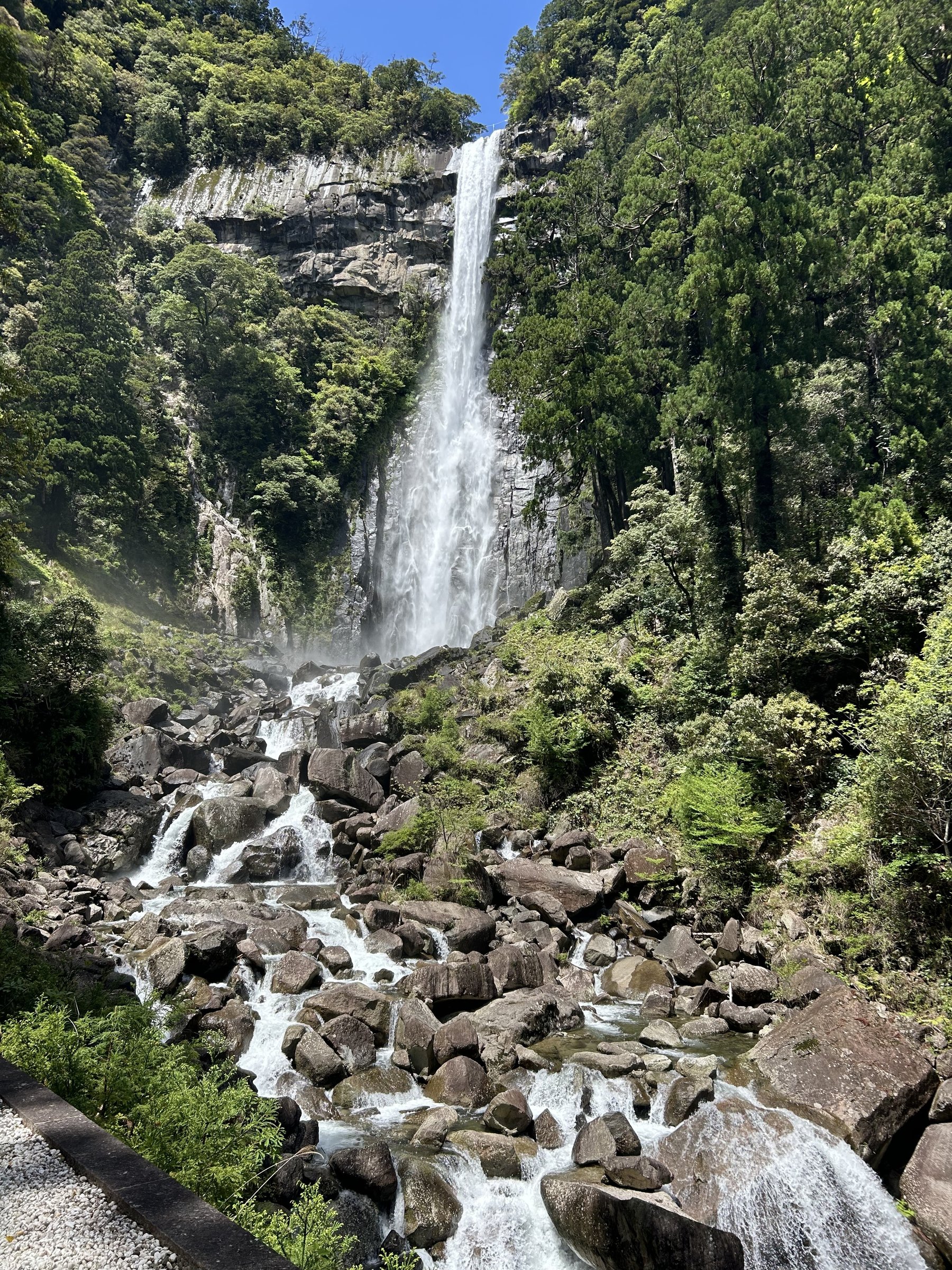�ߒq�̑�