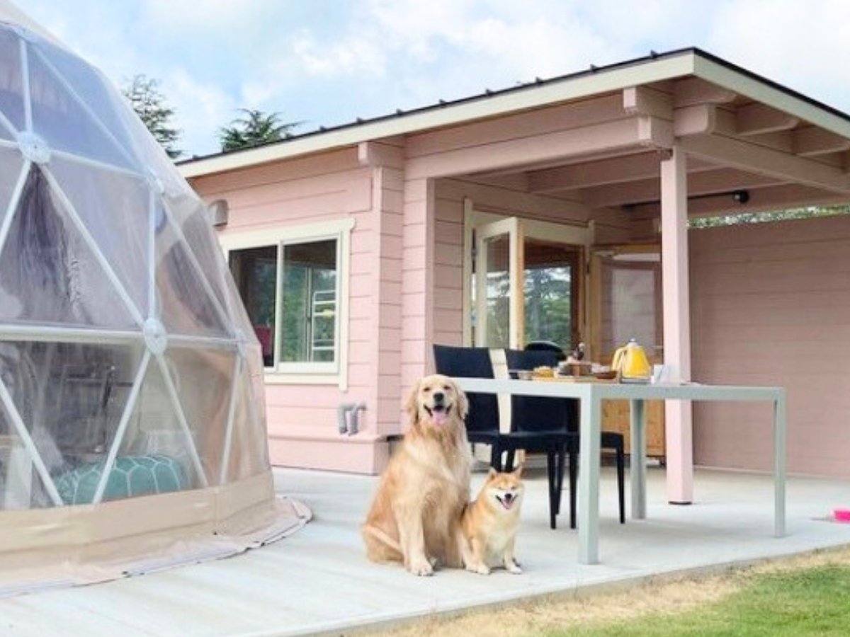 �y�y�b�g�z�h�[���e���g