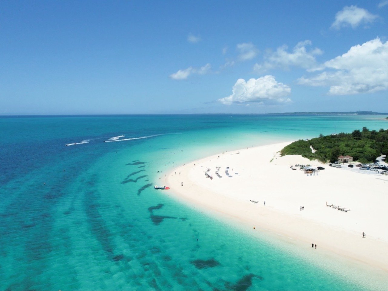 �^�ߔe�O�l�r�[�`��PRAVA����͂킸���Ԃ�8���B