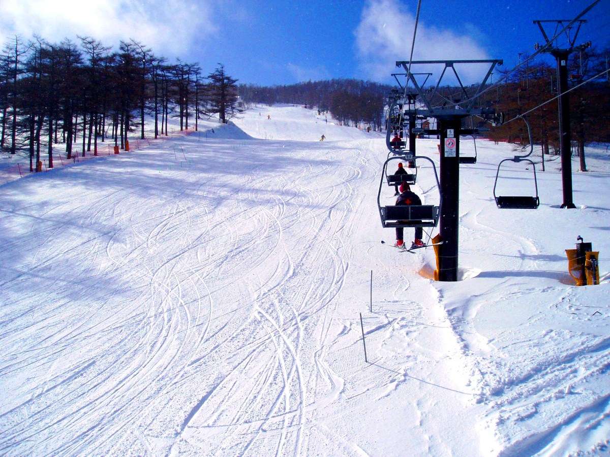 �ߗ׃X�L�[�ꑽ���I�I