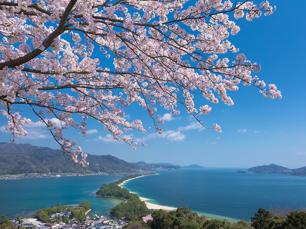 ���Ӂ^�V�����r���[�����h���