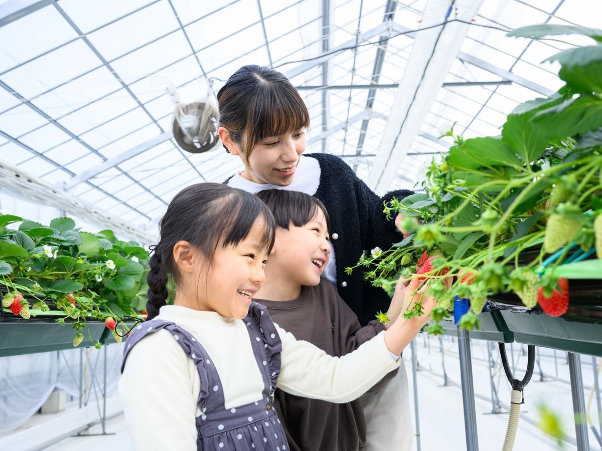 �z�e�����݂̂������t�@�[���u���C�����X�g���x���[�p�[�N�v�ł��������(�t�G����)