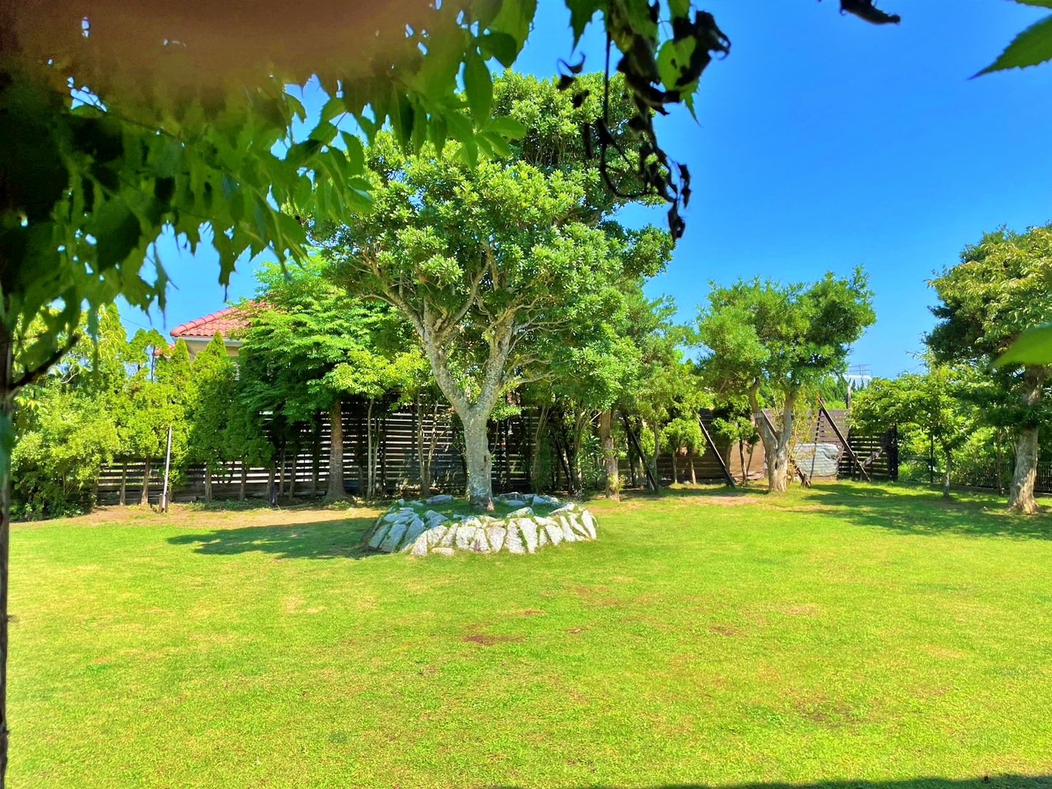 <�K�[�f�����a>��񂿂�񂪎v���؂葖���h�b�O�����I�@�����t�F���X�ň��S�ł��B