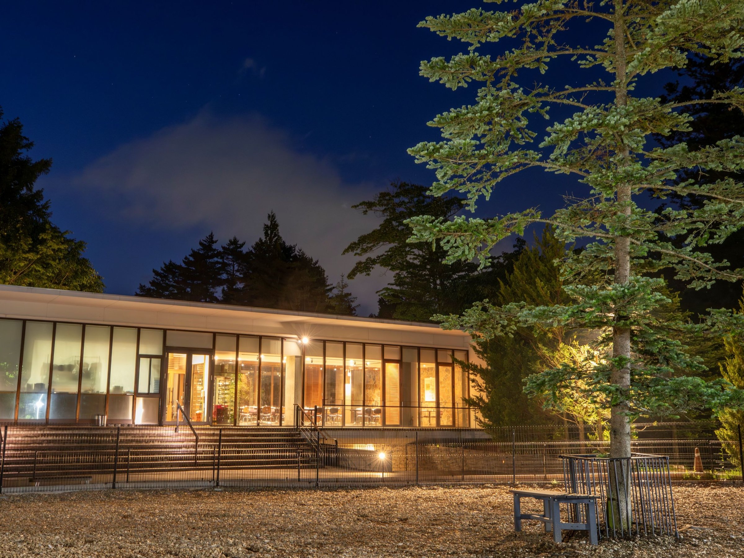 �h�b�N��������̃��X�g����