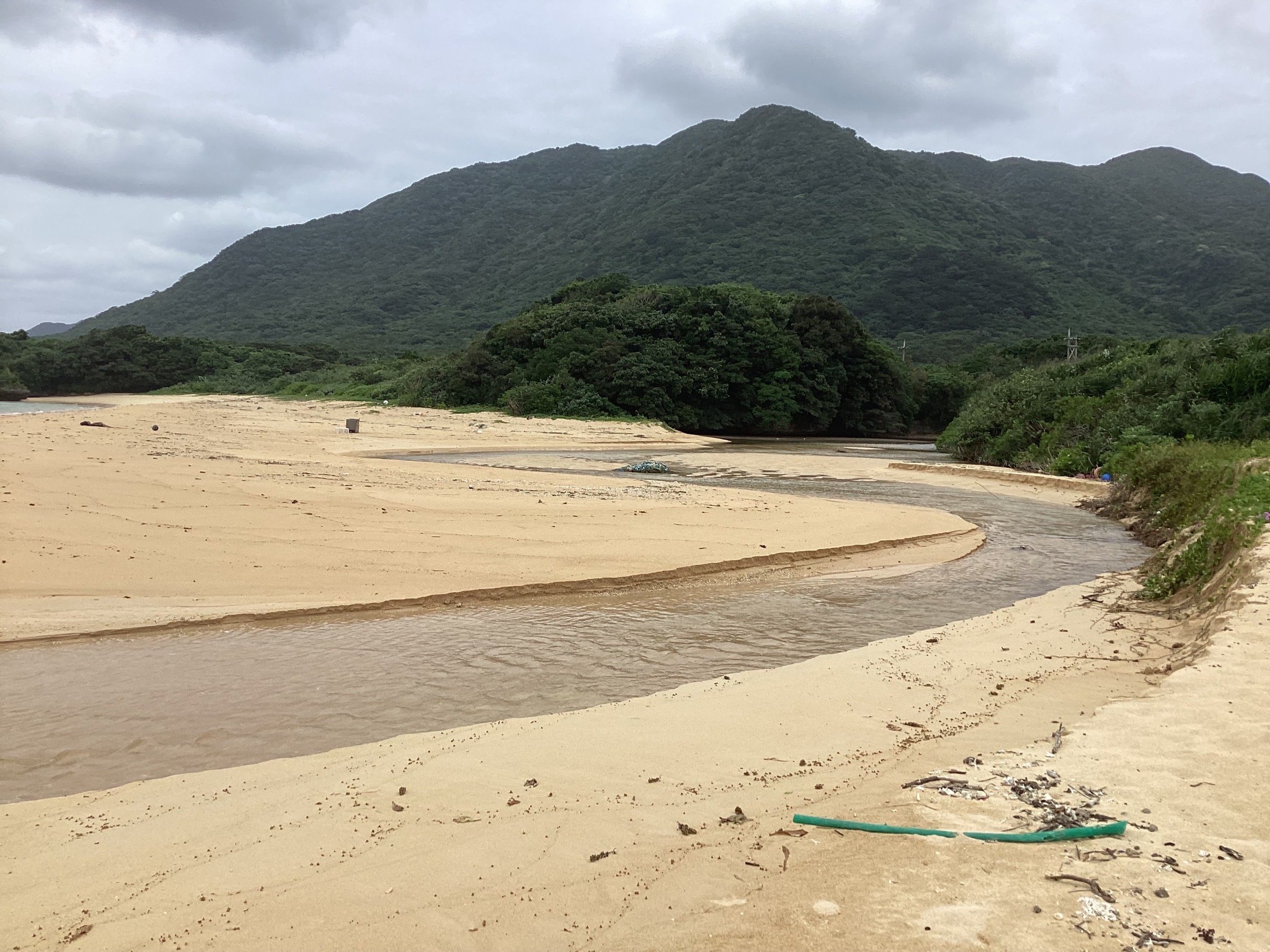 �k���T���ł�����J����̍L���������l�̊C�ł��@��ނ肪�ł��܂��i���Ԃ͖ő��ɒނ�܂���j