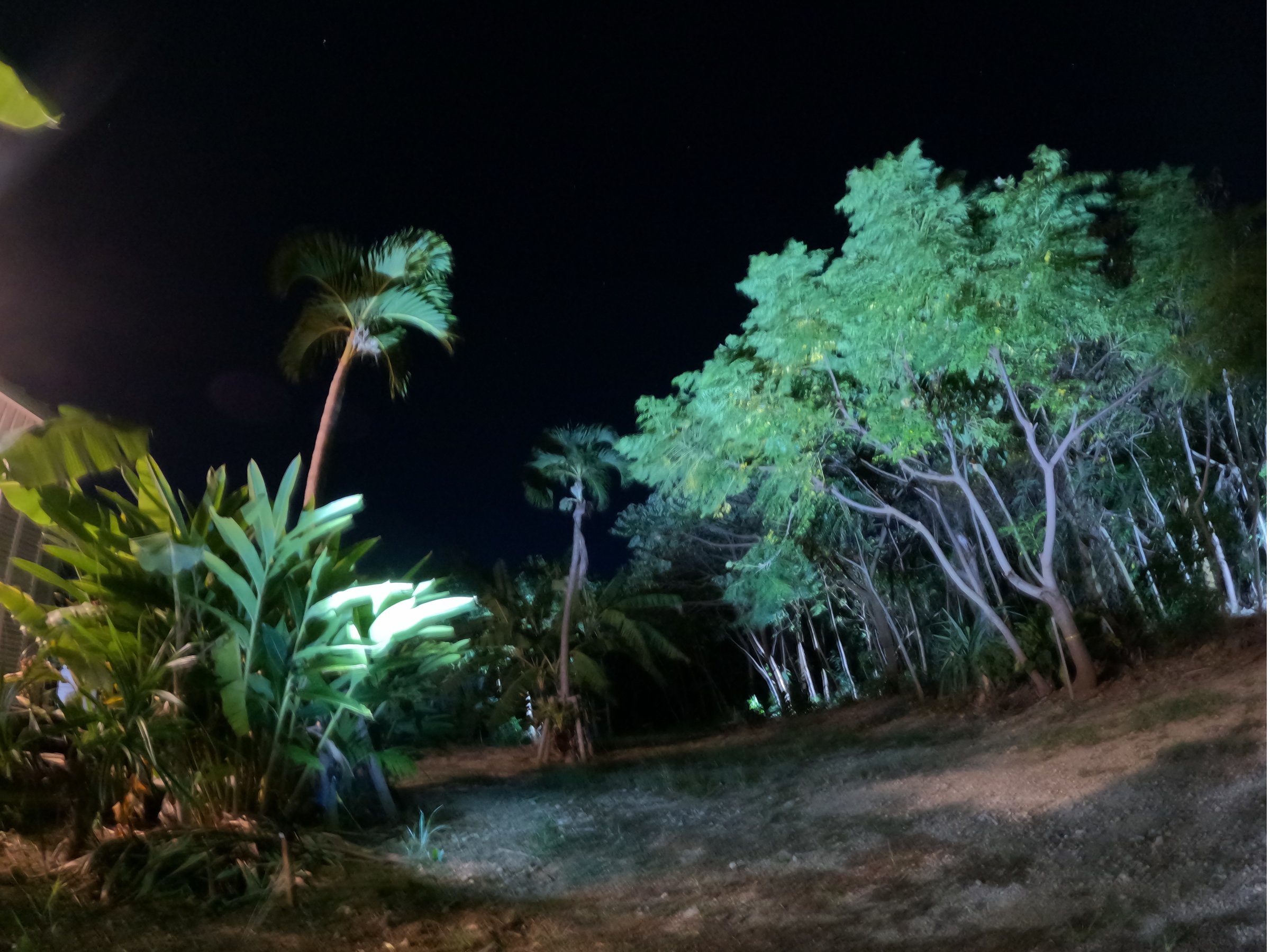 ��͐���Ɩ؁X�̃��C�g�A�b�v�ł��y���݂�������