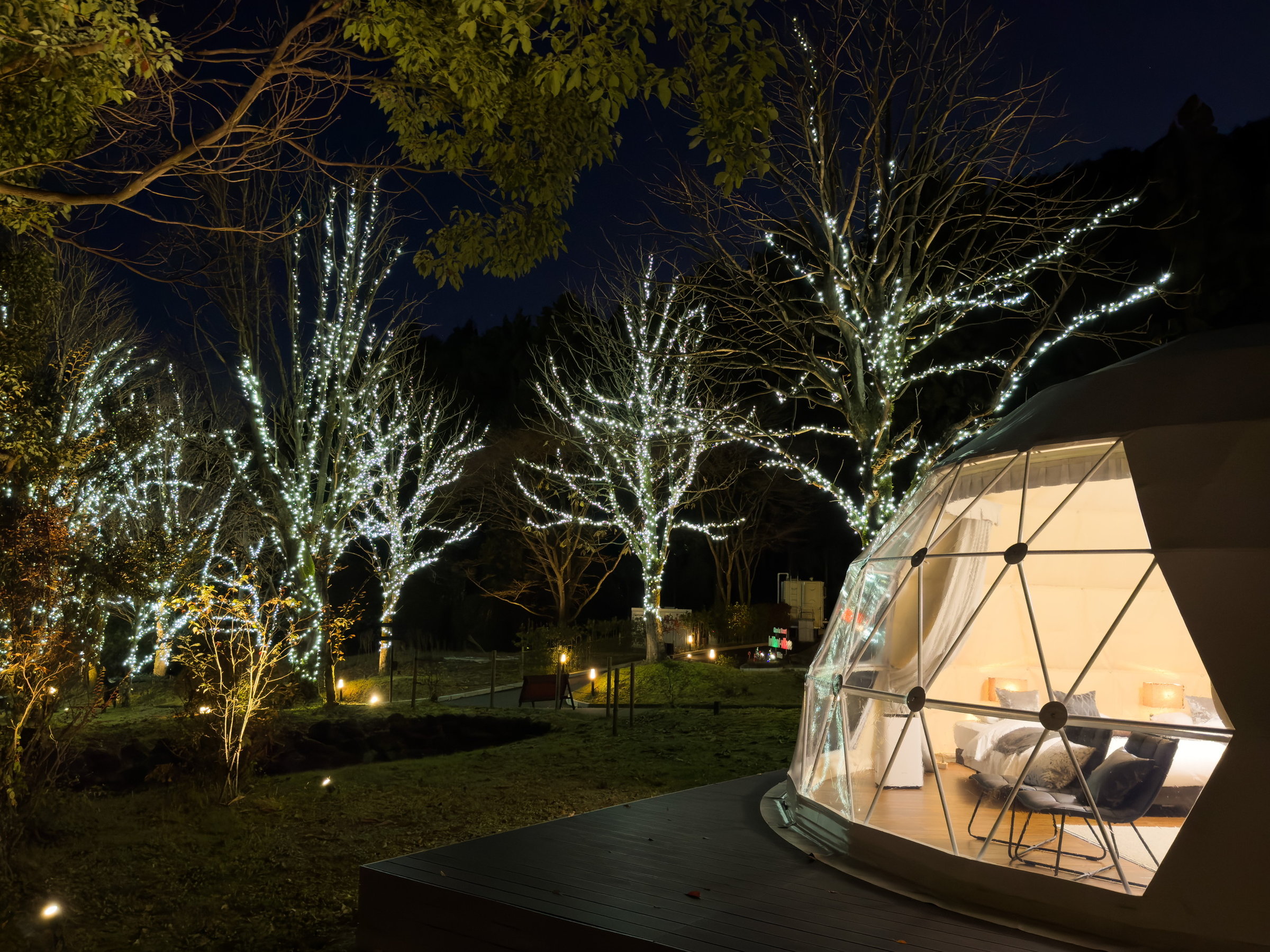 ����ɕ�܂��C���~�l�[�V�����i�C�g�B���z�I�Ȍ����A��̃O�����s���O���ʂ�܂��B