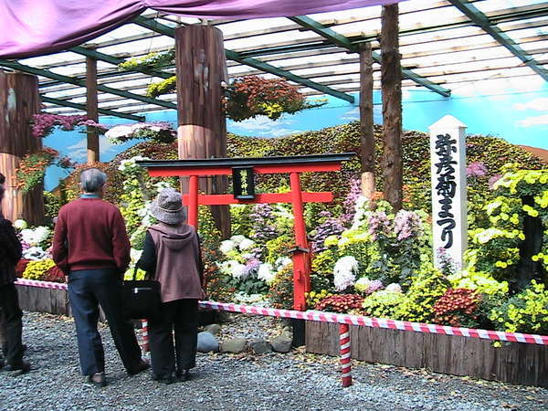 F_Ђ̓킢BNP̋eՂ̗lqB