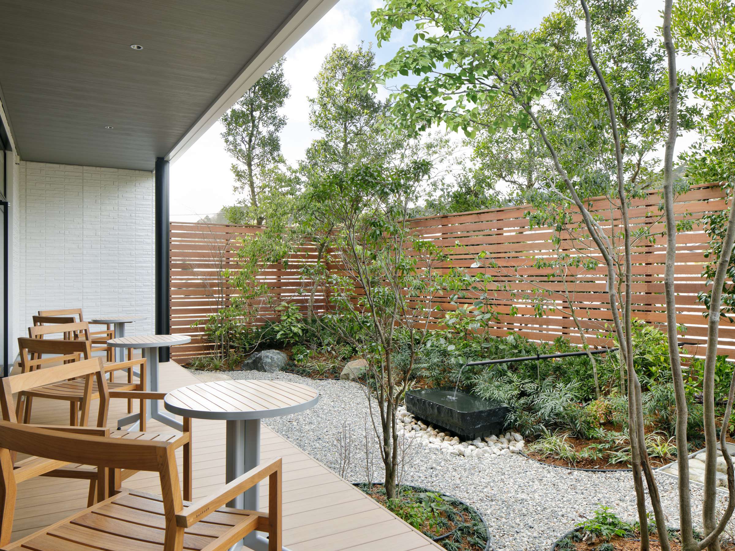 eXFVC̗ǂɂ͗ΈeXłB