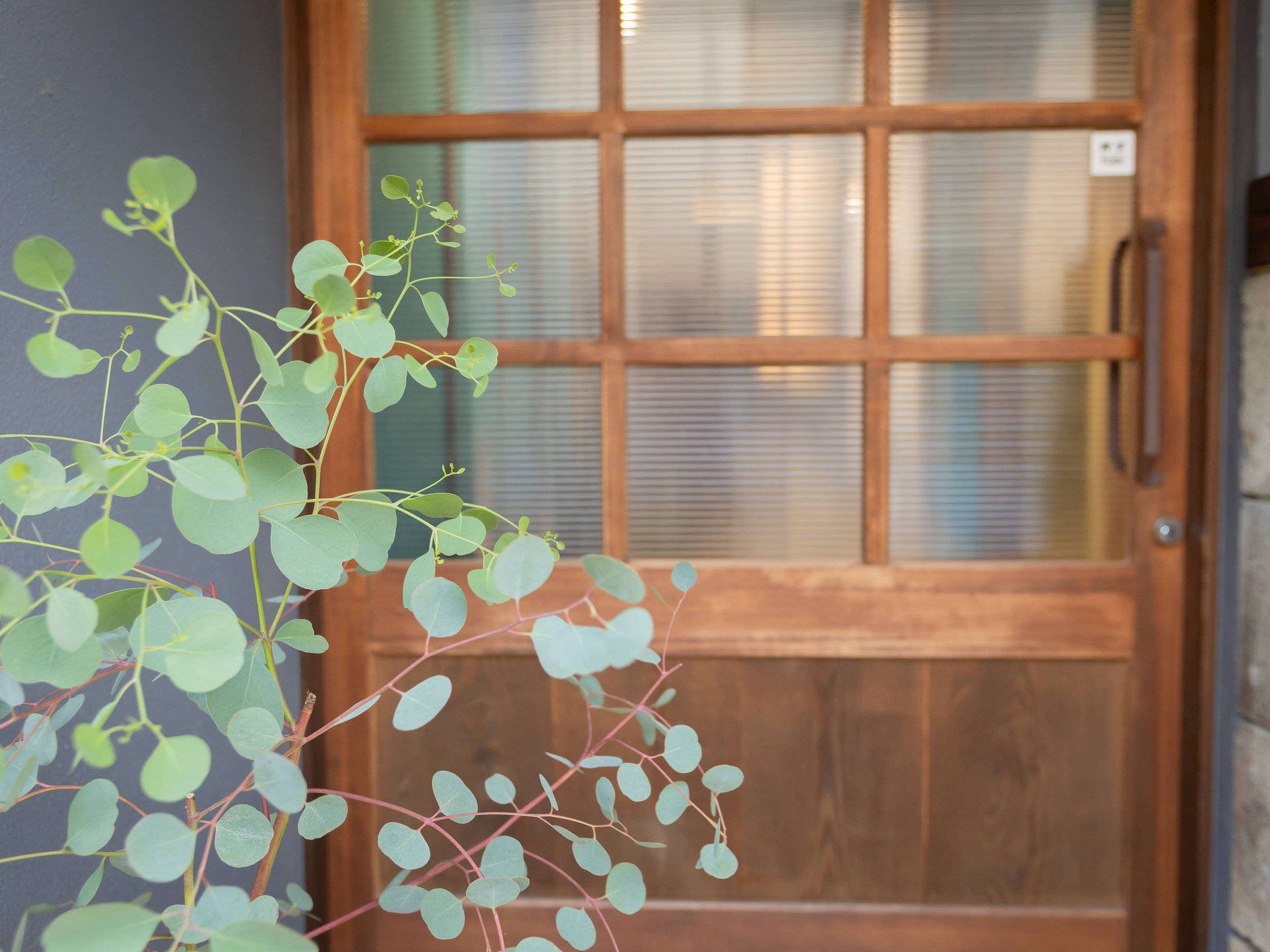 �݂�Ȃ̂ӂ闢blue legend�̏����Ȍ��֔��B�J���ē���Ɖ��������A�D�����������҂��Ă��܂��B