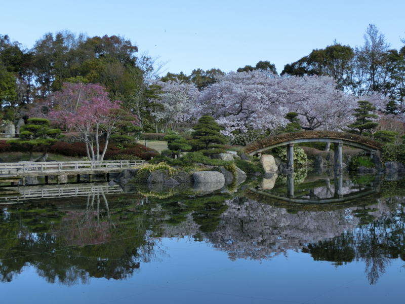 {뉀  S{