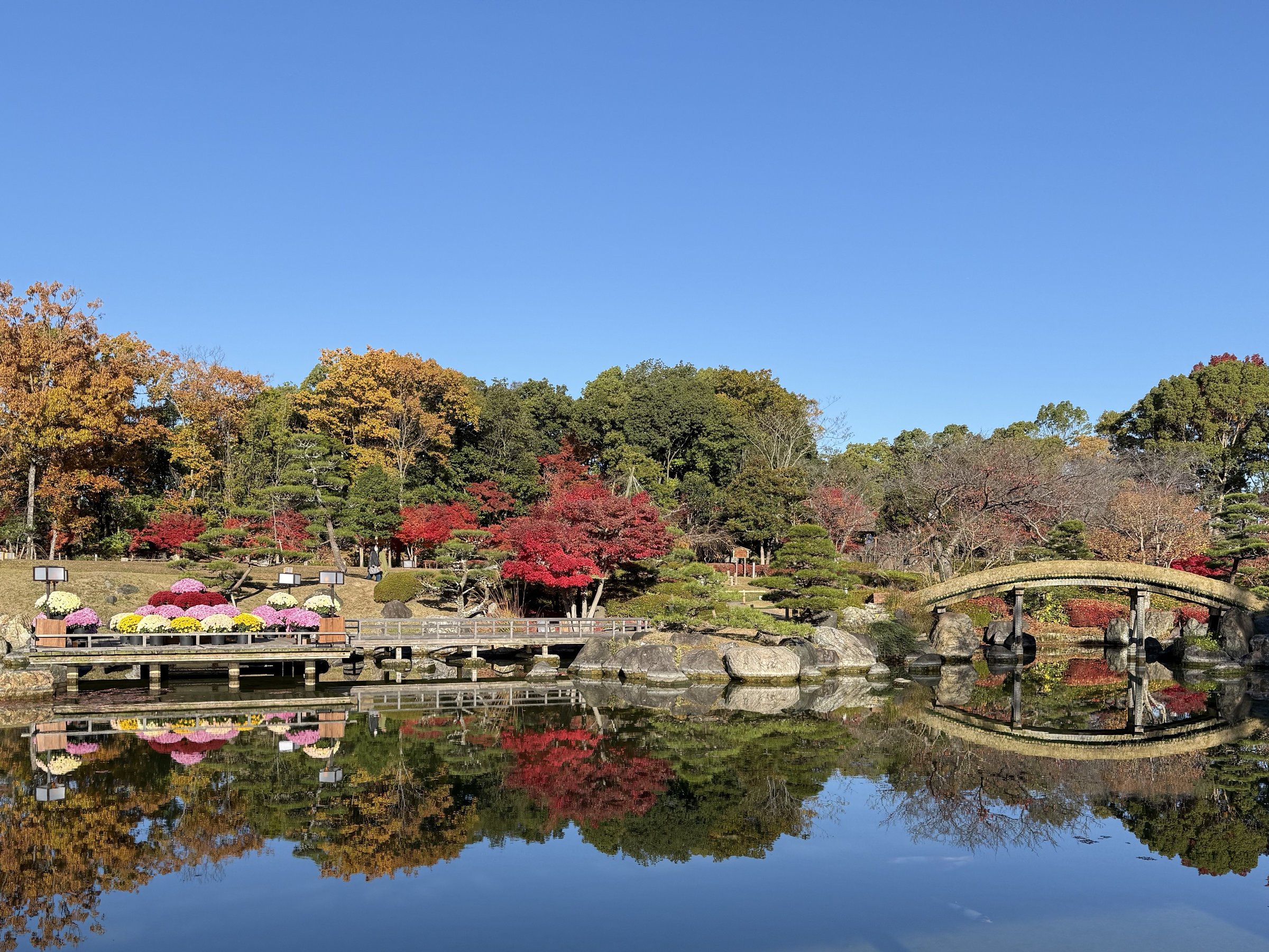 ���{�뉀 �H 2025