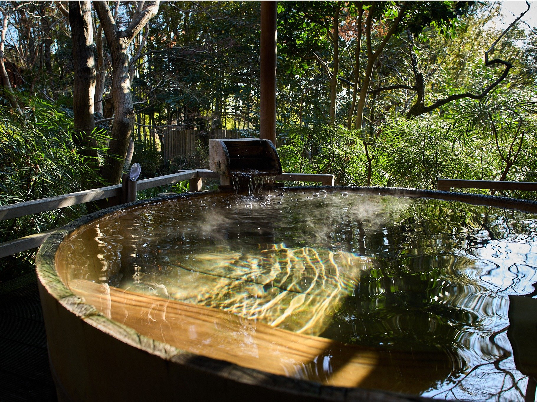 �I�V���C�t���a�m���ᎇ