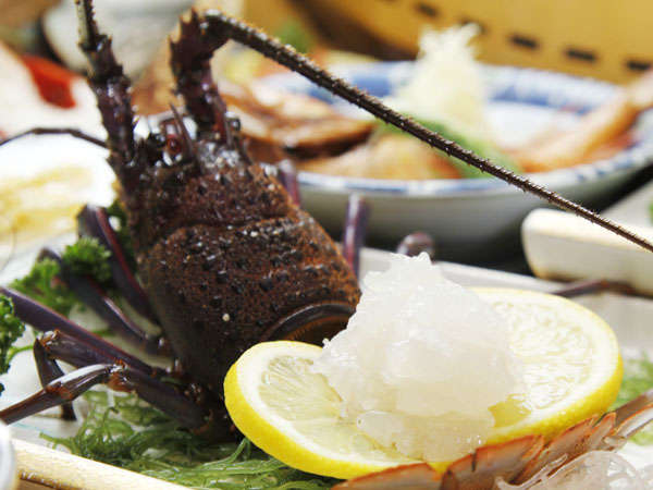 �Ղ���Ղ�I�Â݂����Ղ�̖[�B�C�V���p����ŁI