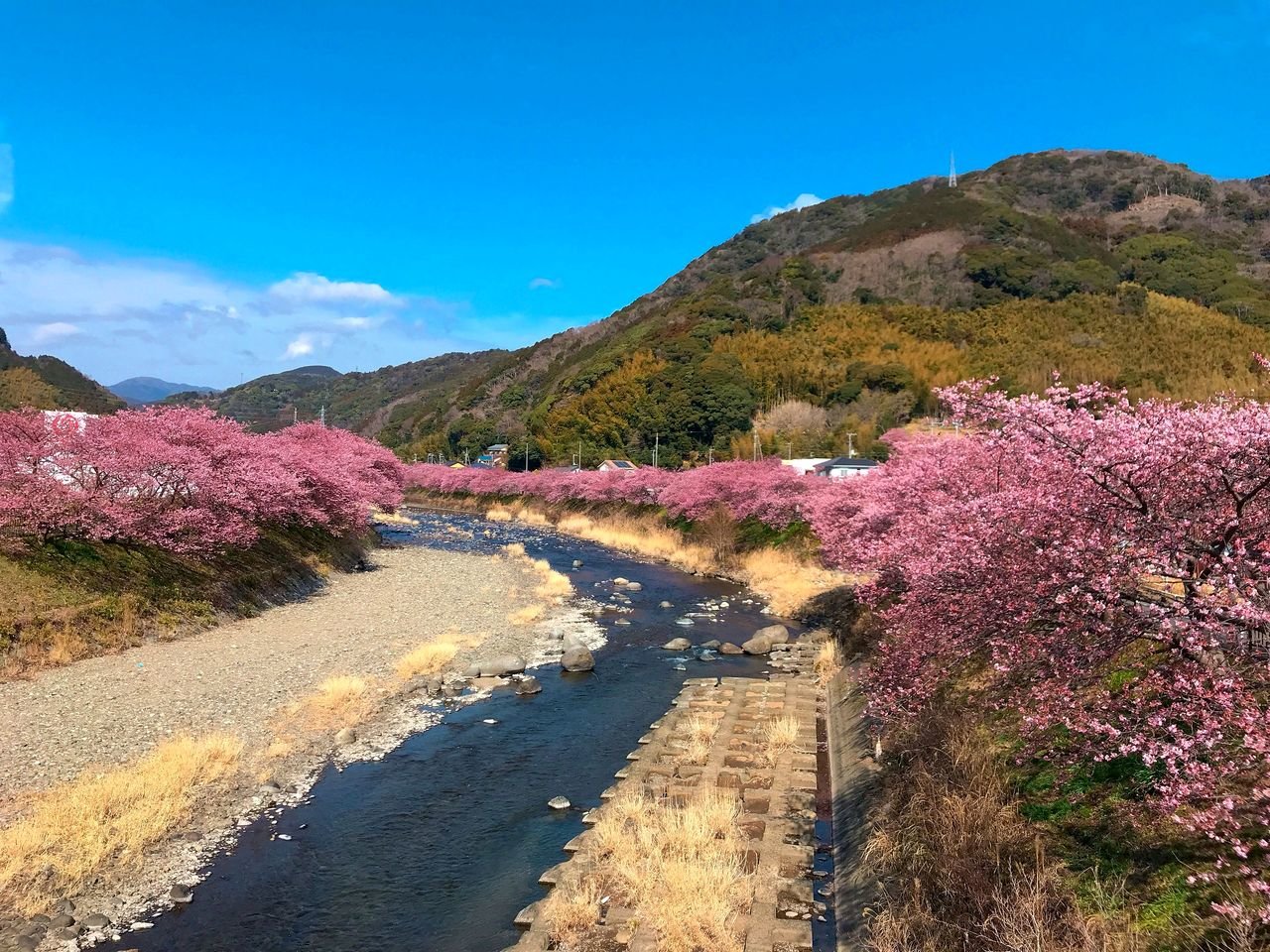 �ЂƑ������t�������邨�o�������炫�̉͒Í�