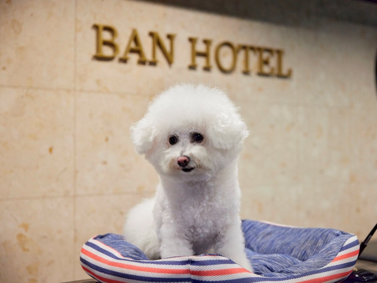 ytgzŔcLW[xzlu_tȑ؍݂ɁAII悤Iv