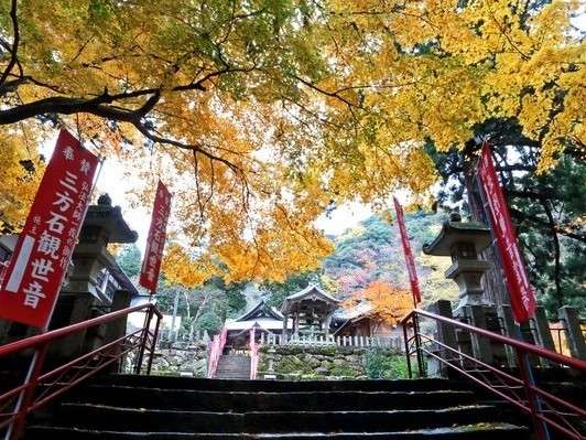 OΊϐ͎葫ɂvƂAQq܂B