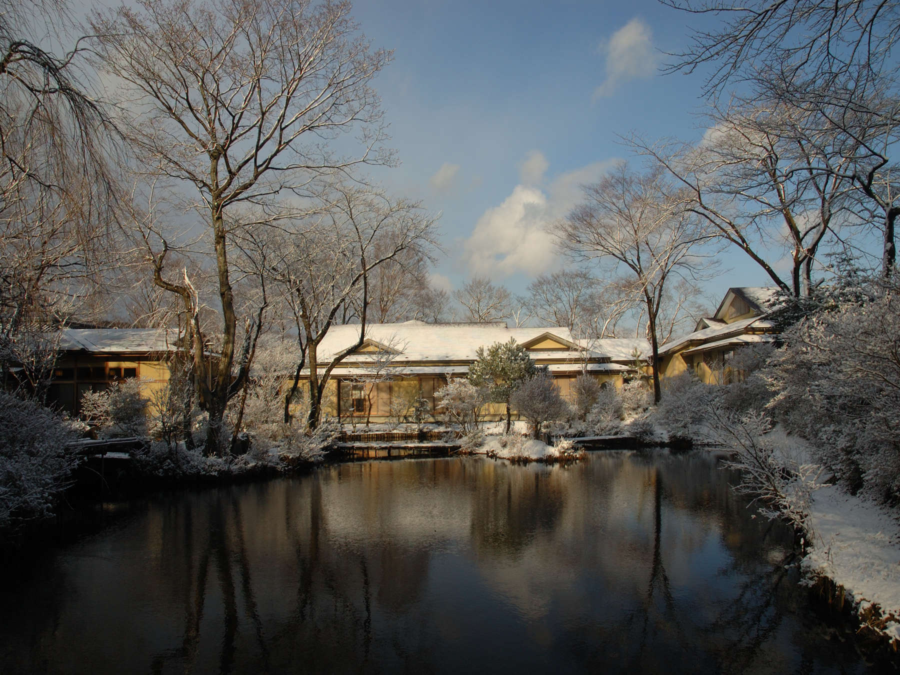 ��N12�����{�`2�����{����͐�i�F�����y���݂��������܂��B