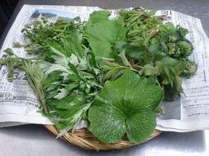 �V�΂̍��̉���˂́A���������{�̑f�ނ������ς����{�̎R�؁�