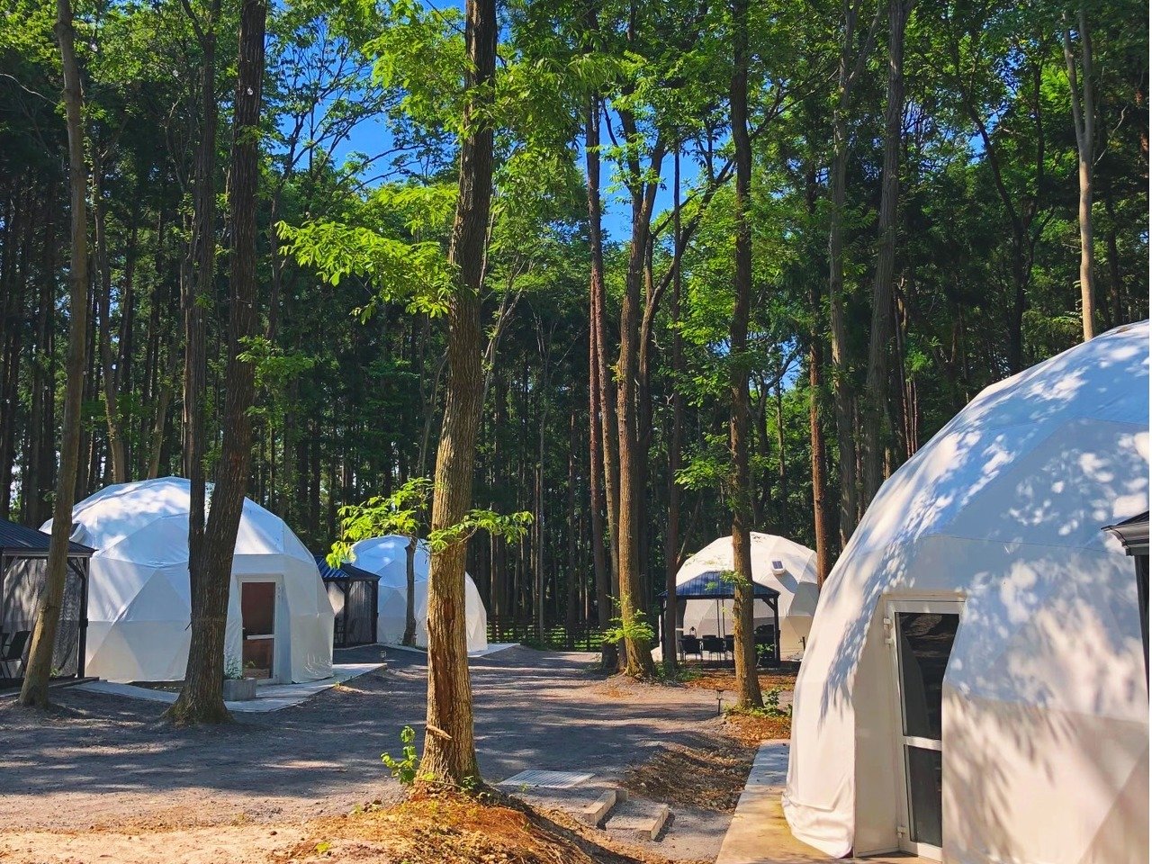 �e���g�O��