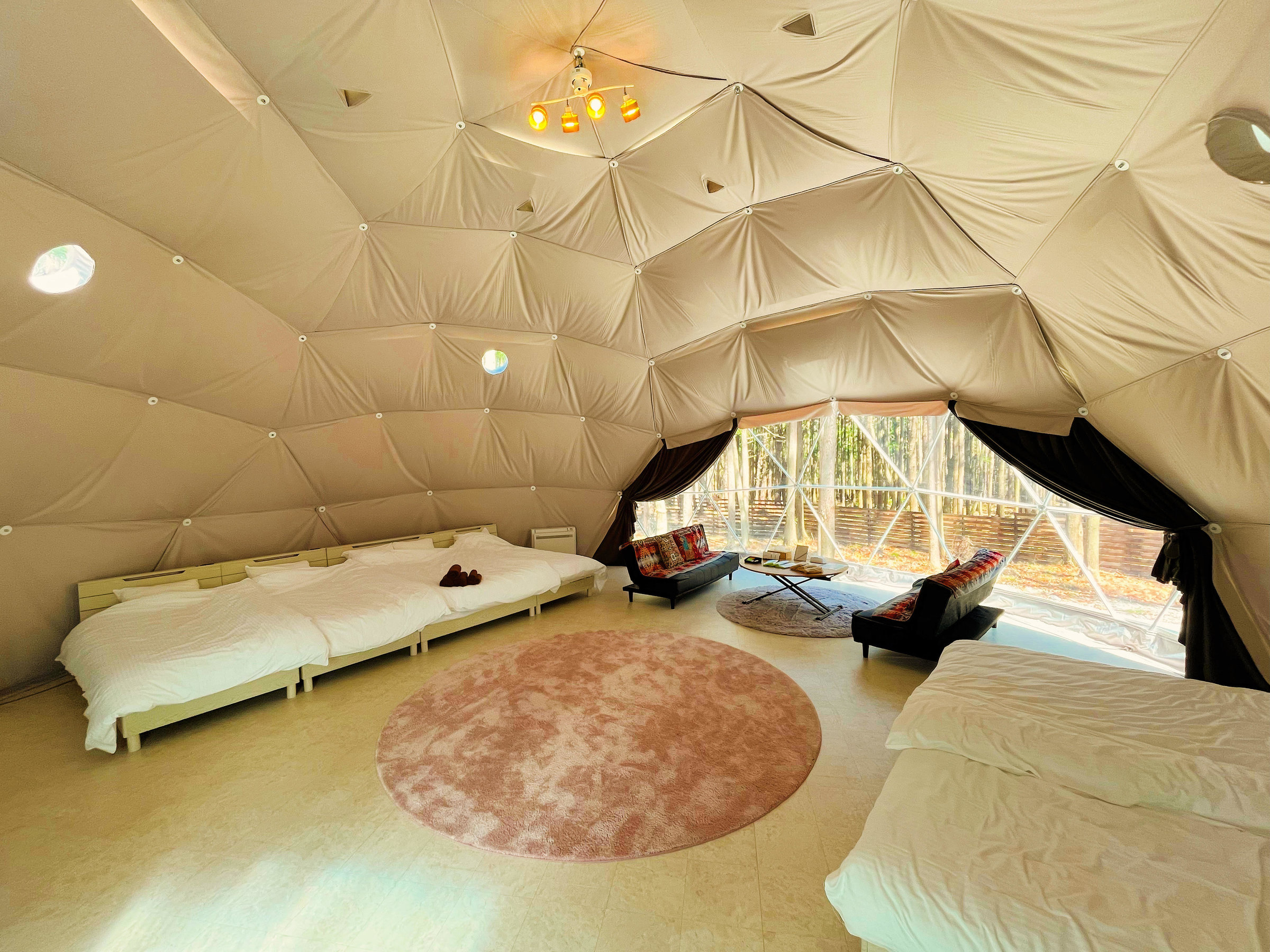 9.5���e���g (��40��)