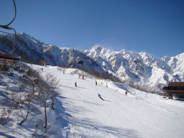 nܗHakuba47tgtv̔Jn