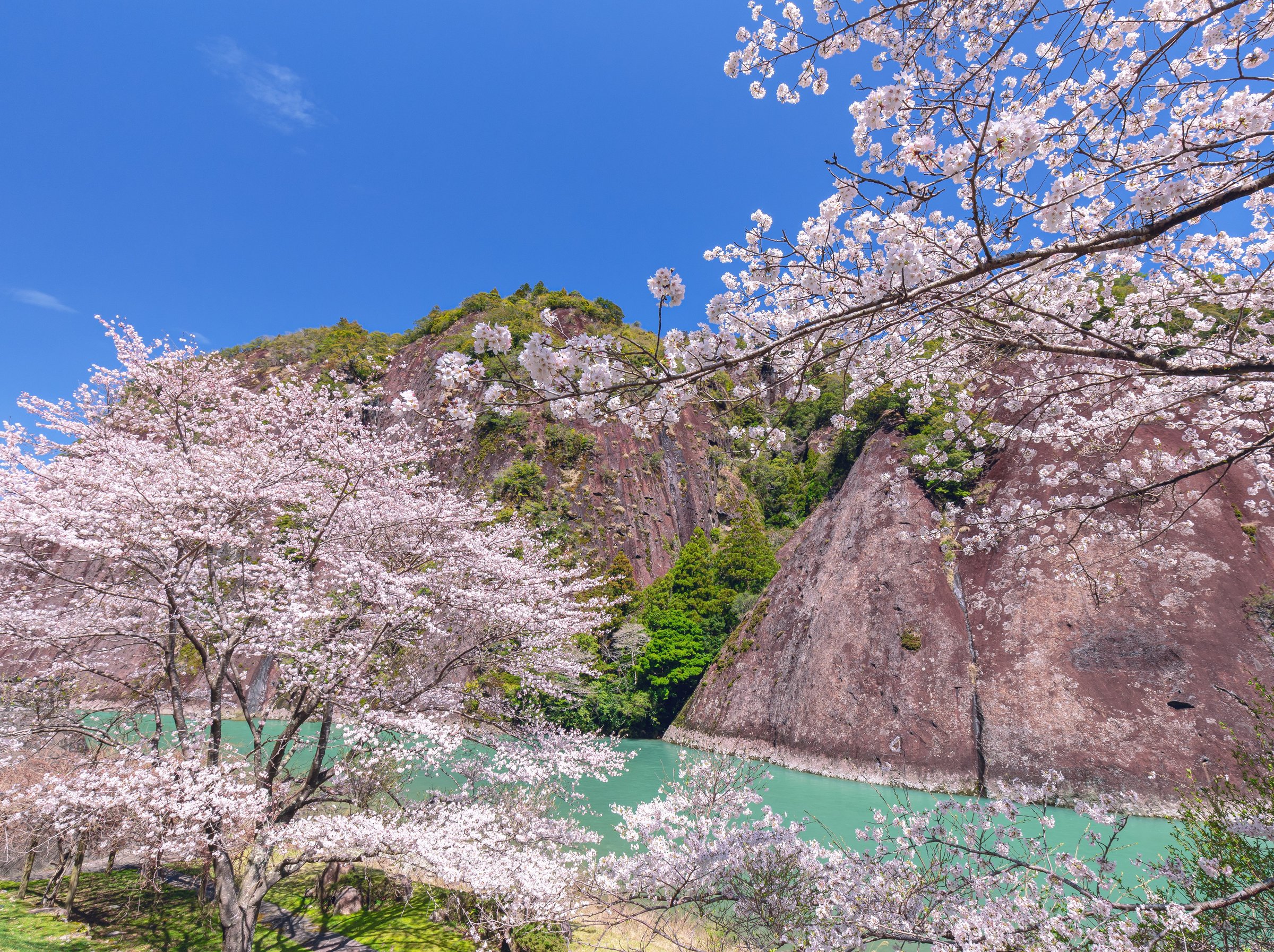 ���̓V�R�L�O�� �Í���ꖇ��̍�