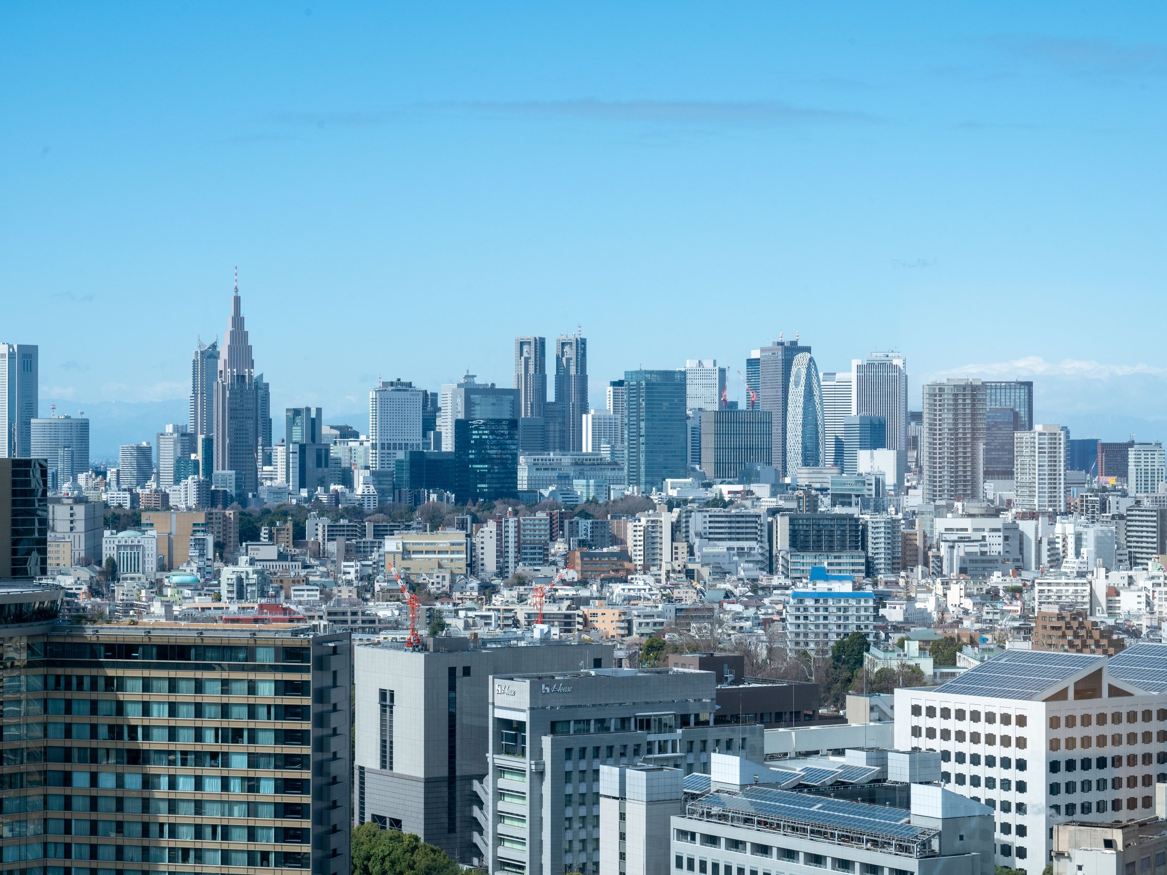 �X�^���_�[�h�c�C������̕��i�i�V�h���j