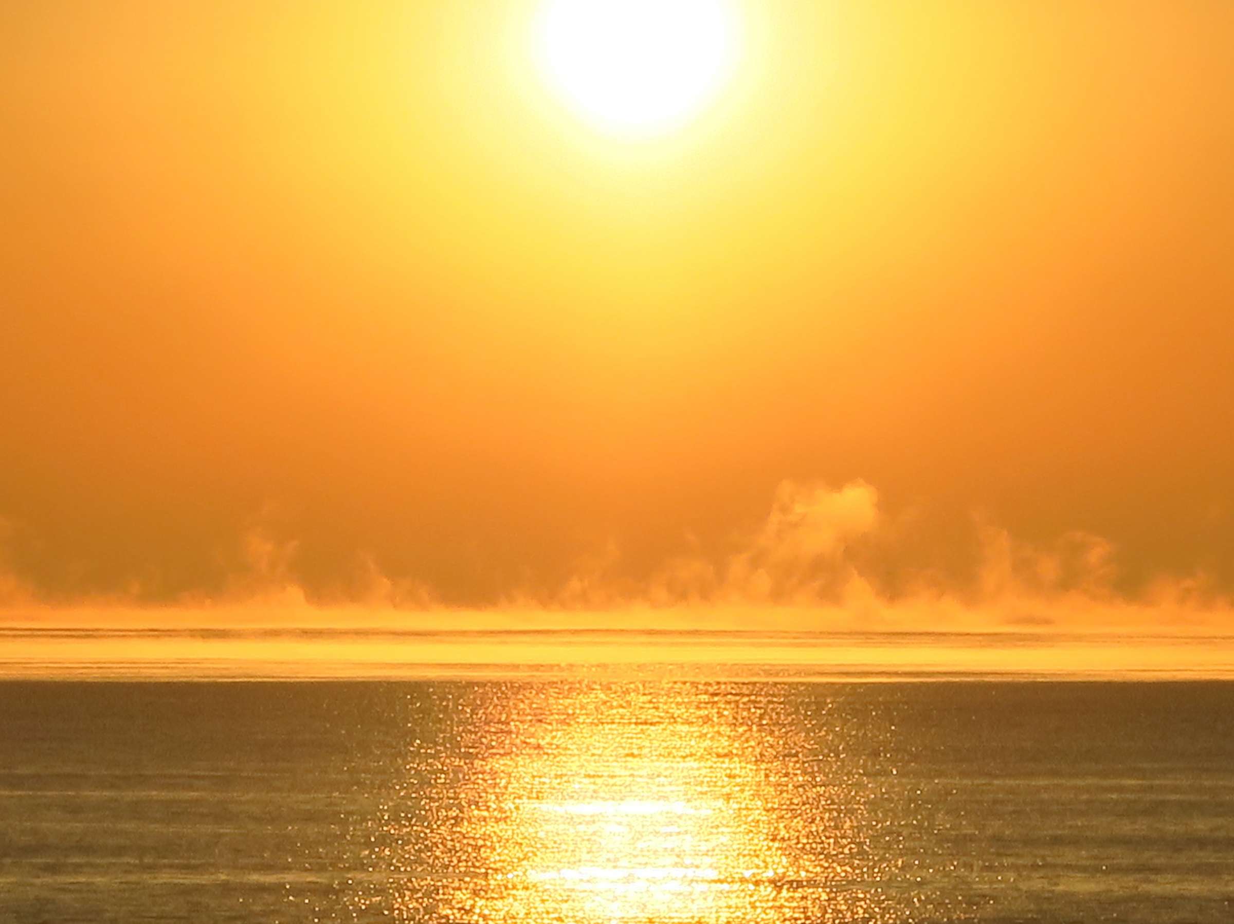 ���ɂ𕑂��オ�点�ė͋����������鑾�z�B���̏o�Ƌ��ɓ��̋C�Y���p���[�X�|�b�g�̈�����n�܂�܂���