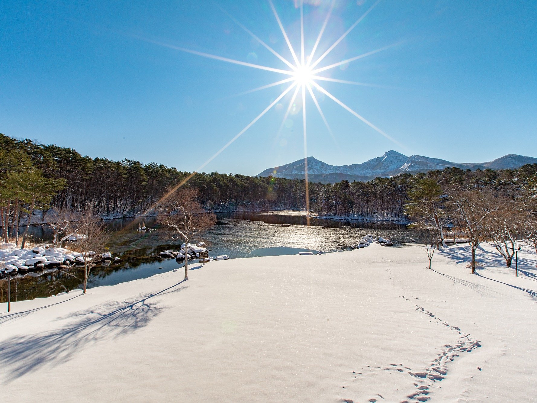 ����ɍL���锒��̐��E�Ɣ֒�R