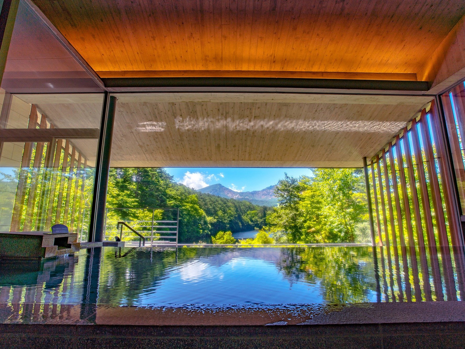 �u�W�]�I�V���C�@�l�G�̓��v