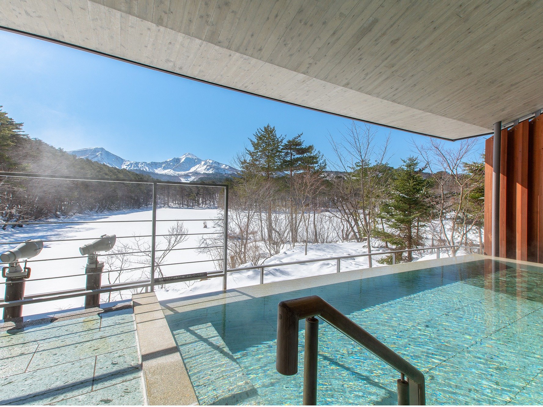 �u�W�]�I�V���C�@�l�G�̓��v