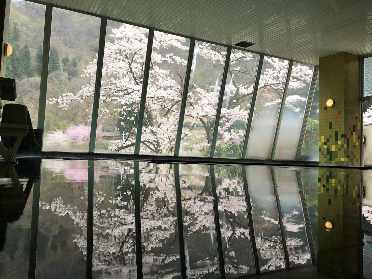 �y�嗁��z�j�������C