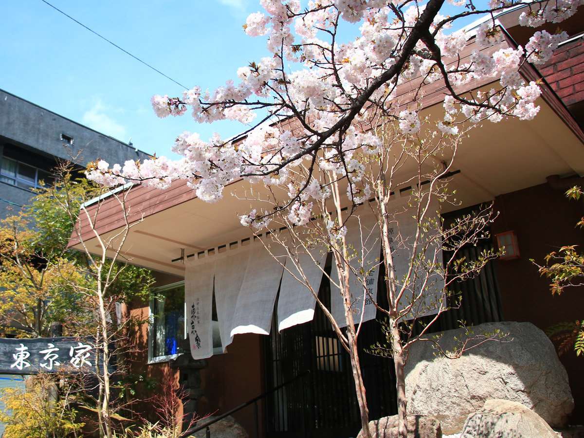 �t�̓�����