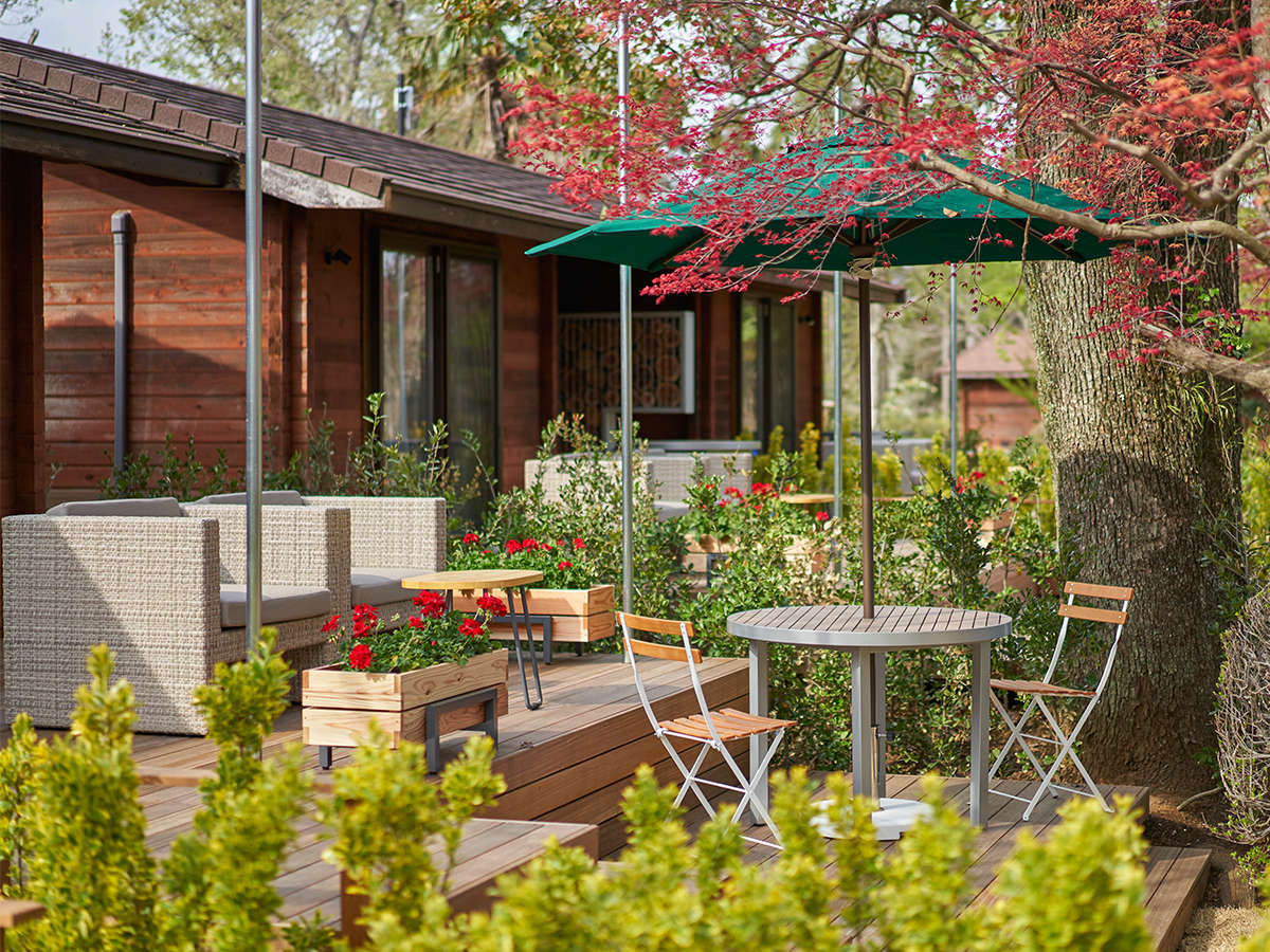 �y�e���X�n�E�X�z�����O�����₩�ɂȂ���A�X�̌��╗�����R�ɍs�������e���X�n�E�X