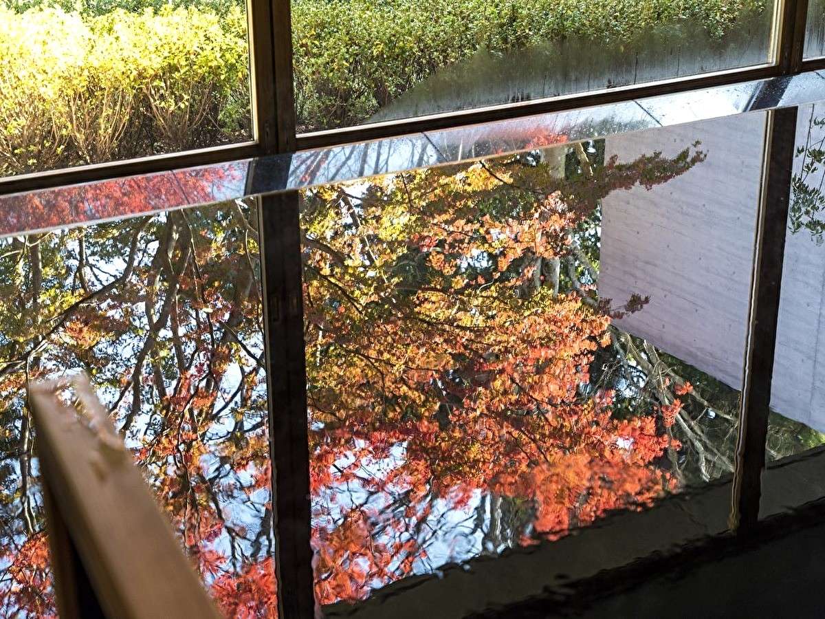 �y�g�t�T���z�畆�����ǂɂ����\������Ƃ���A�������ʂ����҂ł���