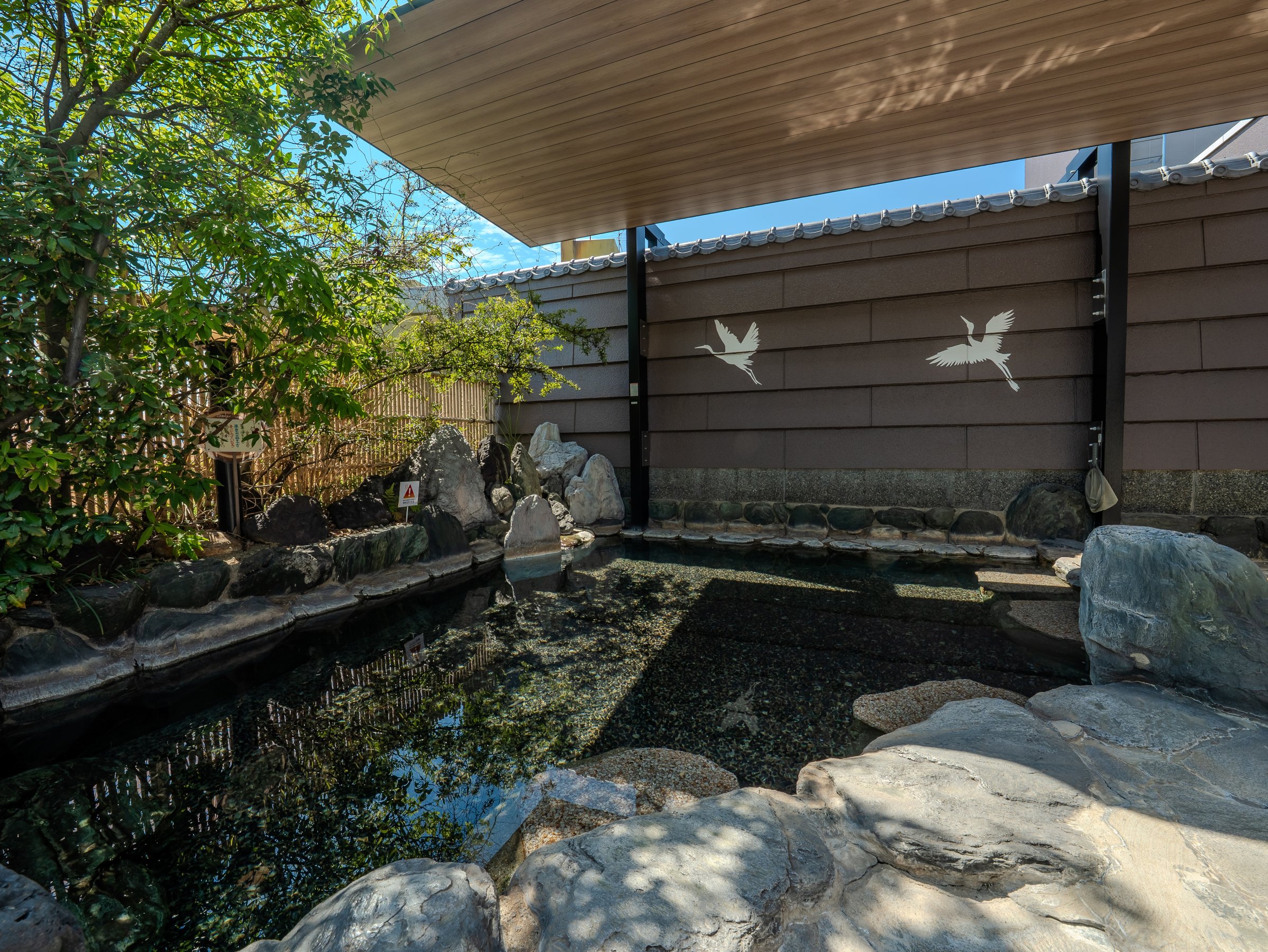 �y�I�V���C�z����