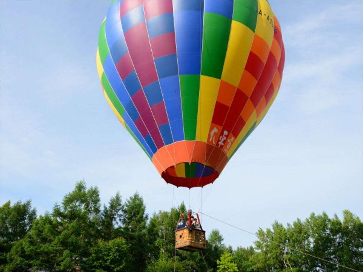 �i5���`10���j�M�C���̌�����̗l�q