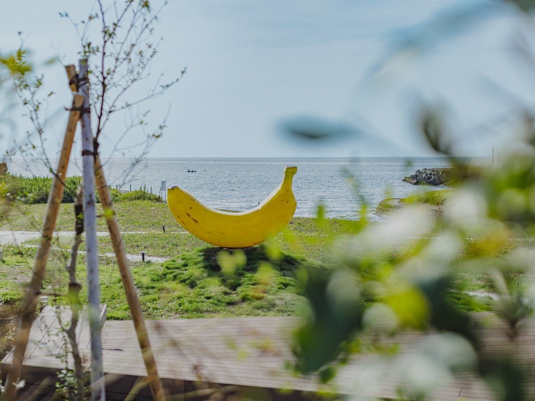 َR̗[A傫ȃeX璭߂āBA䂽߂̊Cӂ̃zeB