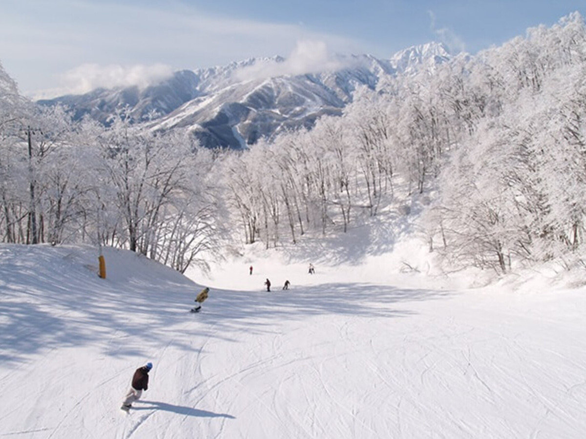 ���n��x�X�m�[�t�B�[���h