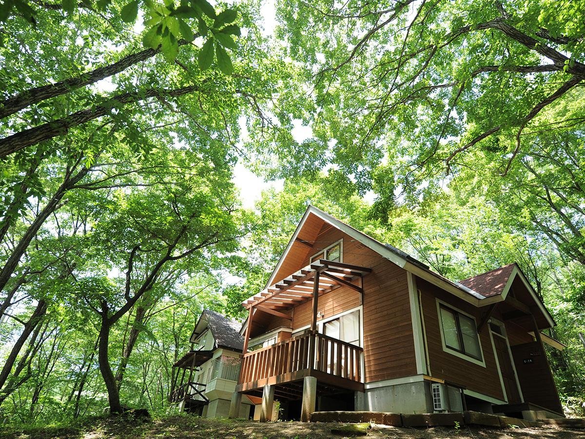 �y�L�b�`���t�X�^���_�[�h�z�O�ψ��B���R�Ɉ͂܂ꂽ�A��ˌ��ăR�e�[�W���ہX1���ݐ؁I