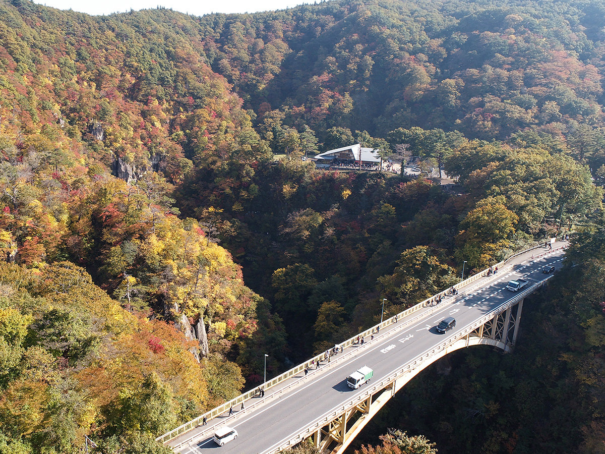 #�q���@�q��K�ꂽ�Ȃ�A��x�͌��Ăق������̕��i