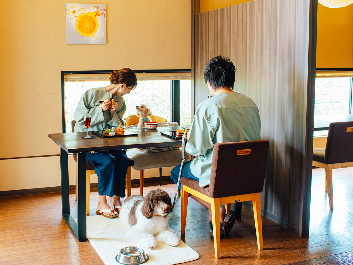 �y���X�g���� �J�����A�z�����Ȃ̂ŁA�y�b�g�ƈꏏ�Ƀ����b�N�X���Ȃ��炨�H�����y���߂܂��B